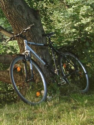 Bild vergr&ouml;&szlig;ern